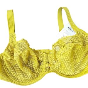 NWT Darjeeling Paris Vibrant Lime yellow green Lace Bra, Size FR 95D (US 36D) –
